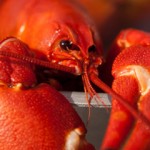 Five Places to Eat Boiled Crawfish in Dallas this 2014 Season